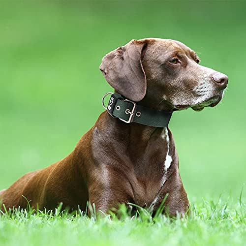TSPRO Heavy Duty Thick Dog Collar with Metal Buckle for Small Dogs - color: Basic Black, size: S – Fits Neck 12.6"-15.8"