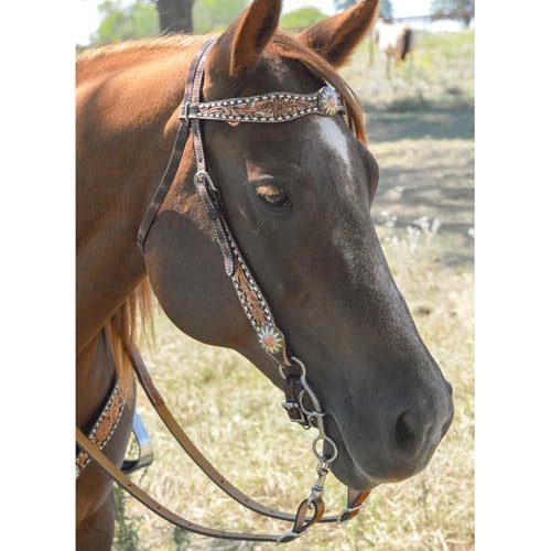 Circle Y White Daisy Filigree Tooling Durable Versatile Western Horse Size Standard Cheek Browband Headstall | 36" - 43" Headstall Working Length