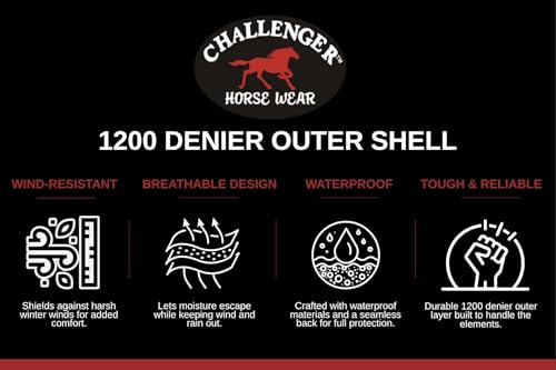 Challenger 1200D Turnout Waterproof Rain Horse Sheet Light Winter Blanket 367LG - color: Turquoise Black, size: 74 inches