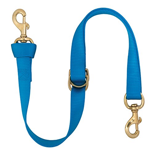 Weaver Leather Deluxe Nylon Tie Down Strap