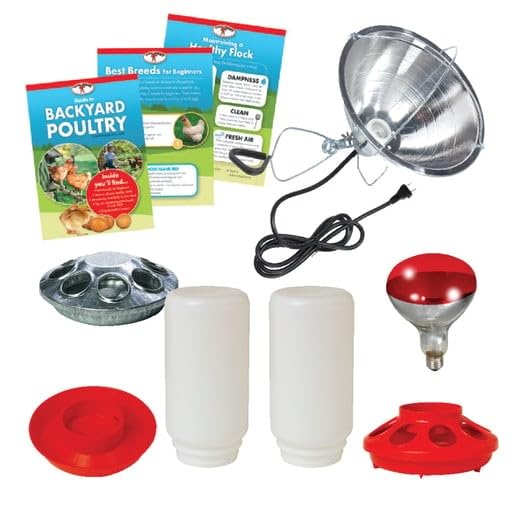 Little Giant® Beginner Poultry Kit - Includes Feeder, Waterer, Lamp, Jars, and More Supplies for Raising Chicks
