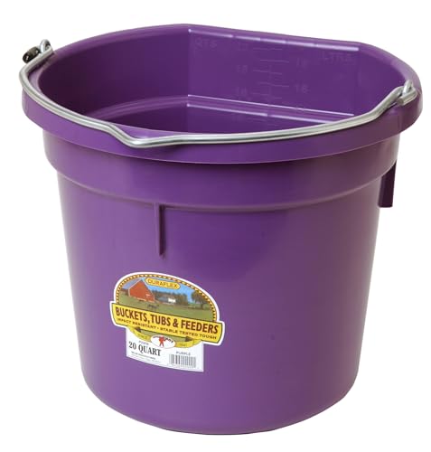 Little Giant® Flat Back Plastic Animal Feed Bucket | Animal Feed Bucket with Metal Handle | Horse Stall Feeding and Watering Supplies (Purple, 20 Quart) - color: Purple, size: 20 Quart