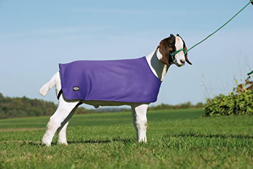 Weaver Leather Sheep and Goat Underblanket Extra Small/Small Purple