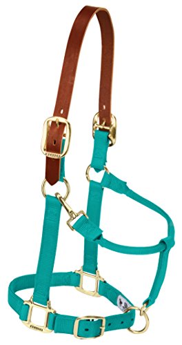 Weaver Equine Breakaway Horse Halter, Supple Leather Crown, Adjustable Brass Throat Snap Halters for Horses, Equine Tack - color: Emerald Green