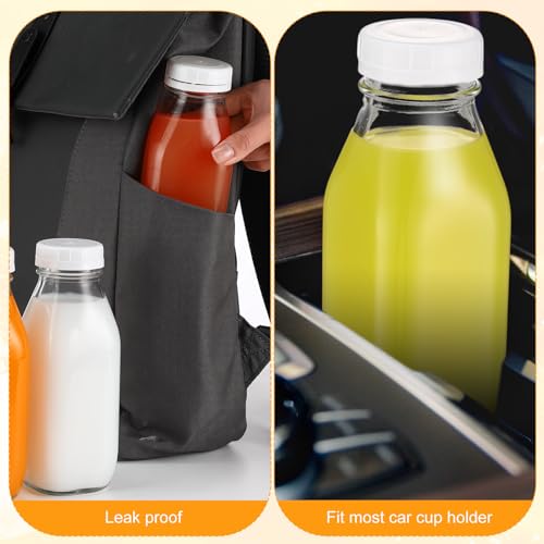 Suclain 10 Pack 16 oz Glass Milk Bottles with Lids, Clear Reusable Milk Containers, 100% Airtight Juice Water Bottles for Refrigerator Storage, Smoothies, Cold Brew, Honey, Oats, Tea, Kitchen Beverage