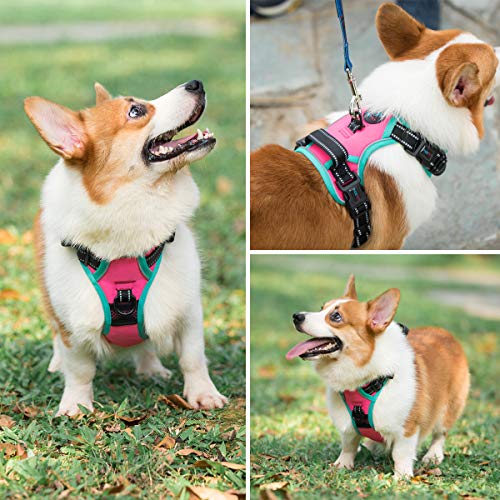 PHOEPET Upgraded No Pull Dog Harness, Reflective Adjustable Vest - color: Pink, size: Extra Small