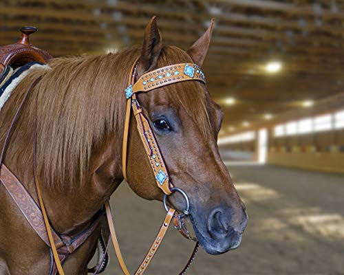 Tahoe Tack Turquoise Collection Show Western Browband Headstall with Matching Split Reins (Full Horse)