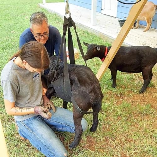 Calf Sling for Weighing Calf Sling for Weighing Little Animals Adjustable Livestock Harness Sling for Lambs Goats(Black)