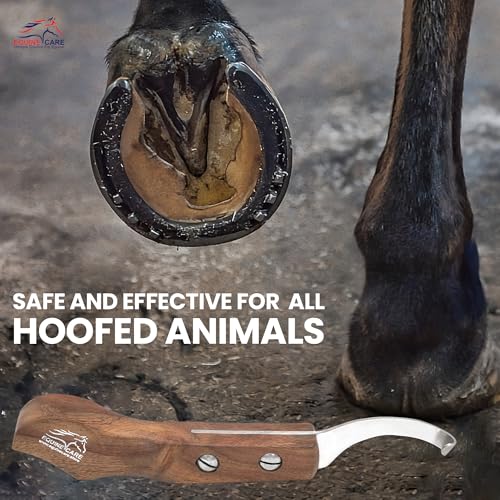 Equine Care Left-Handed Farrier Hoof Knife, Sheesham Wood Handle | Farrier hoof knife with genuine Sheesham wood handle; curved J2 stainless steel blade; brass screws; RH or LH - style: Left Handed