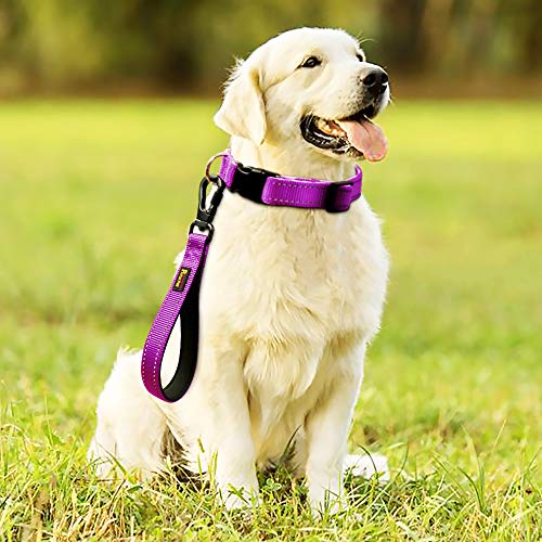 PLUTUS PET 10” Short Dog Leash, Reflective Nylon Padded Handle, Strong Traffic Leash with Carabiner Clip, Perfect for Large or Medium Dogs(10”,Purple | Reflective, Heavy Duty Strong Nylon, Traffic Leash with Carabiner Clip for Training Walking (10", Purpl