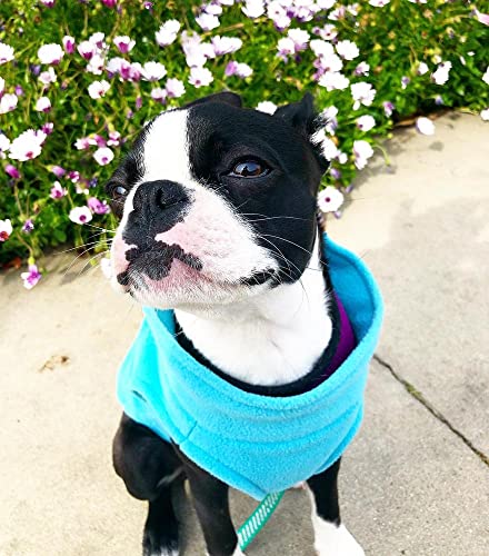 Gooby Stretch Fleece Vest Dog Sweater, Mint, Medium - color: Mint, size: Medium Length (11.5")