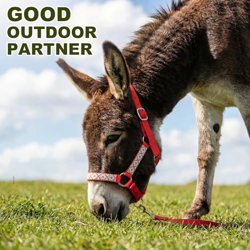 1 Set Mini Donkey Halter with Lead Rope Adjust, Red - color: Red