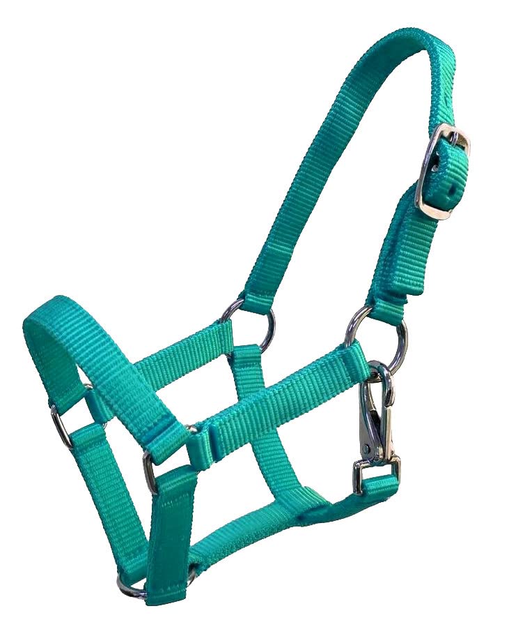 Nylon Foal Halter - color: Teal