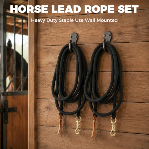 14 Feet Lead Ropes for Horses, Heavy Duty Horse Training Lead with Leather Popper End and Brass Swivel Snap, Soft Comfort Grip, Daily Horse Tack, 13/20" Diameter, Black