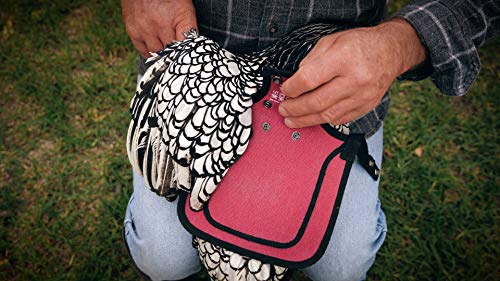 DOWN UNDER OUTDOORS Medium-Large Chicken Saddle Hen Apron Saver (Burgundy) - color: Burgundy