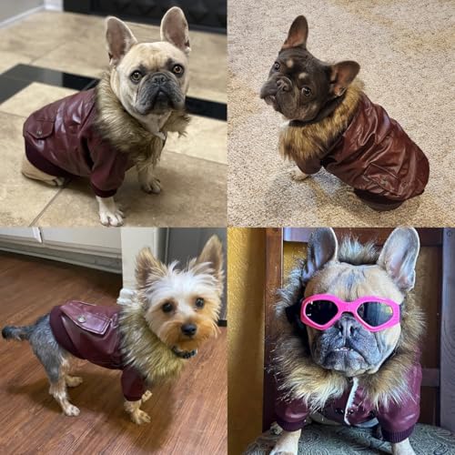 LESYPET Dog Leather Jacket for Small Dogs, Waterproof Dog Winter Jacket Puppy Coat with Fleece Lined, Ultra Warm Fur Collar Doggie Coat, Black S - color: Black, size: Small