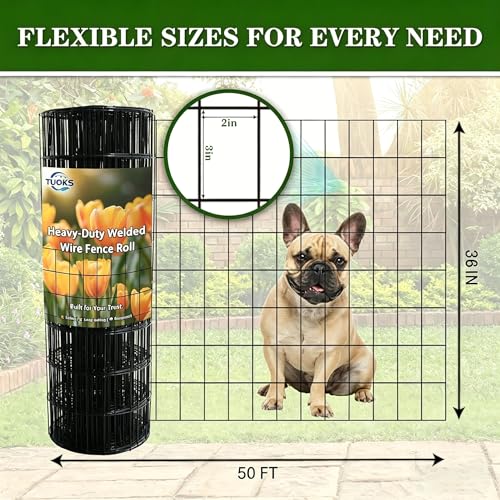 Black PVC Coated Welded Wire Fencing 36” x 50’ Roll 2”x3” 16G Garden Fence | TUOKS Chicken Wire Fencing Roll Vinyl Coating Metal Wire Mesh for Yard Vegetable Plant Protection Poultry Netting - size: 2"x3" 16GA 36" x 50'