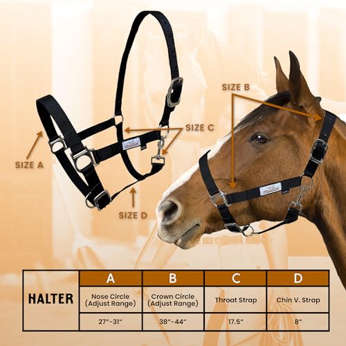 Prairie Horse Supply Nylon Horse Halter - 1 Inch Wide, Horse Halter Adjustable, Horse Harness, Horse Equipment and Supplies - Ideal for Equestrian Use