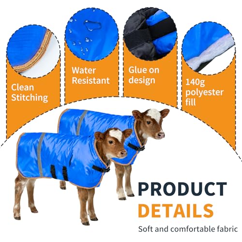 Fleece-Lined Calf Coat – 150g Insulated Winter Jacket for Calves & Goats – Blue/Gold – 2-Pack
