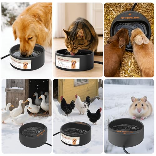 2.2L Heated Dog Bowl, Provides No Freeze Water, Pet Water Heater for Dogs/Cats/Chickens/Birds/Livestock, Black - color: Black