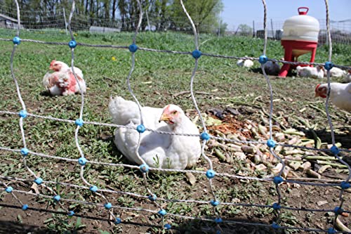 48" x 164' Electric Poultry Netting with Double Spiked Fiberglass Posts | Electric Fence for Chickens in Backyards, Homesteads, Farms and Ranches