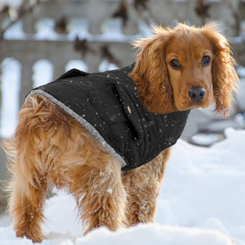 Queenmore Waterproof Dog Winter Coat Warm Puffer Jacket Cold Weather Vest - color: Black, size: X-Small