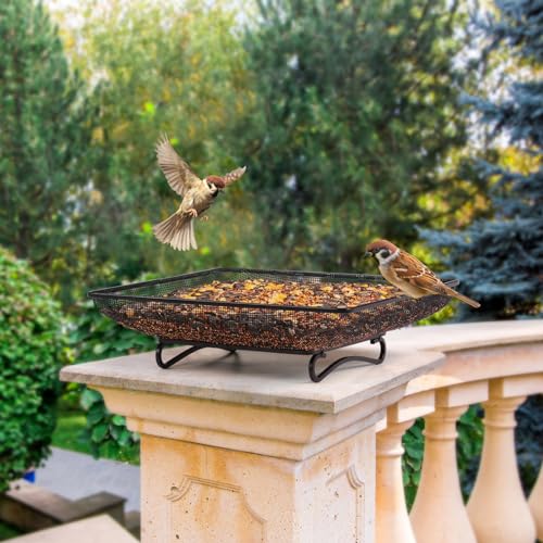 MIXXIDEA Ground Bird Feeder Tray 11x11 Inches, Metal Platform Mesh Seed Tray for Bird Feeders, Great Attracting Garden Yard Decoration for Wild Birds Squirrels Dove,1 Pack - size: 11x11 inches (1 pack)