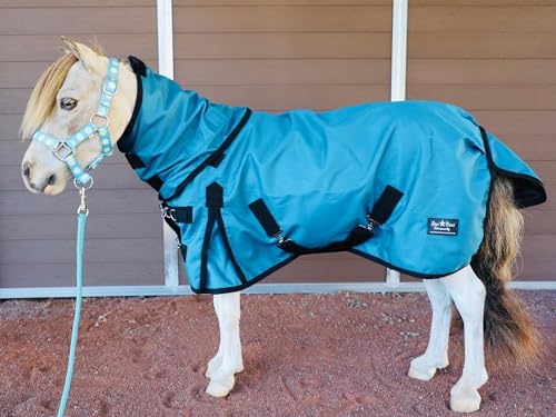 Star Point Horsemanship 1200 Denier Ripstop Waterproof Miniature Horse Pony No Fill Hooded Sheet Breathable Lining Wind Proof Lightweight Turnout Rain Winter Coat with Neck Cover (76-78", Teal) - size: 76-78"