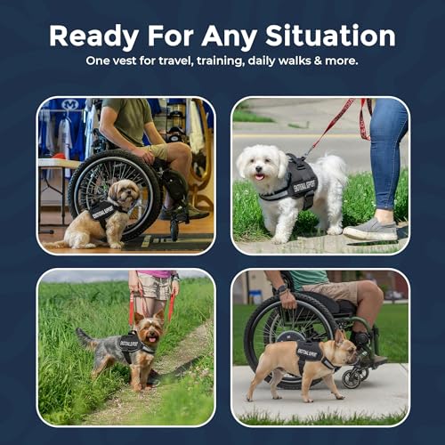 Industrial Puppy Emotional Support Vest Harness, Small 19.5-25 in, Black - color: Black, size: Small, Fits Girth 19.5-25"