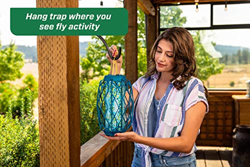 RESCUE! Deck & Patio Fly TrapStik - Odorless, Weather Resistant - 24 Pack
