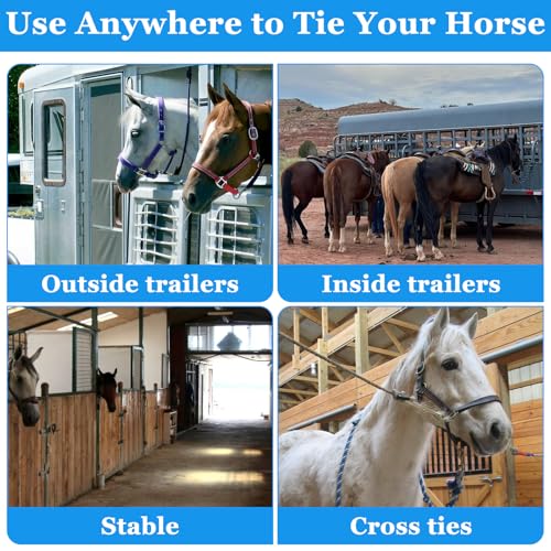 2 Sets Horse Tie Ring with Eye Bolts and Snaps Zinc Alloy Horse Tack and Supplies for Trailers Training