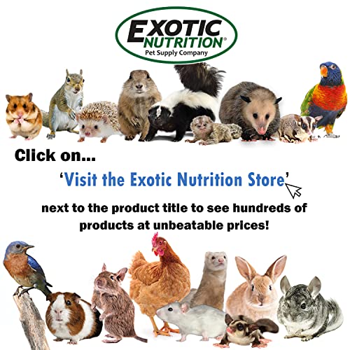 Wonder Nipple - Nursing Nipple for Baby Animals - Handfeeding Baby Squirrels, Sugar Gliders, Hedgehogs, Guinea Pigs, Racoons, Prairie Dogs, Opossums, and More! (Long)