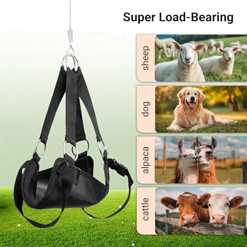 Calf Sling for Weighing 30"x25" up to 400 LB - Heavy-Duty 1800D Livestock Weighing Sling for Newborn Calf, Lamb, Goat, Alpaca, Pig, Dog - Hoof Trimming, Hanging Scale & Recovery Support (Large)