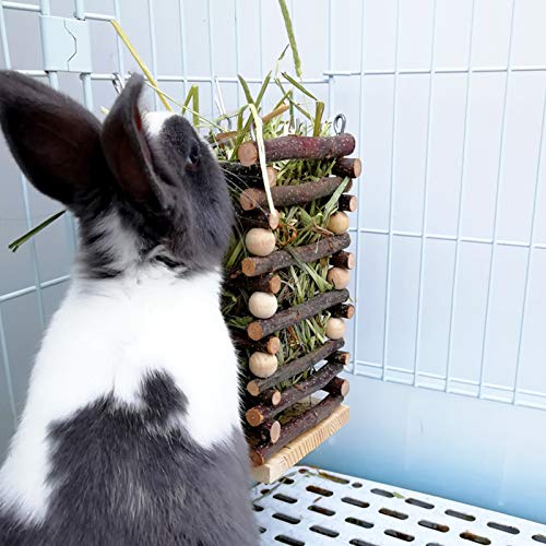 Hanging Apple Wood Rabbit Hay Feeder for Chinchilla Bunny Hamster Gerbil