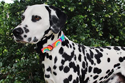 Limeloot Tie Dye Dog Collar for Female and Male Dogs, Small - color: Tie Dye, size: Small