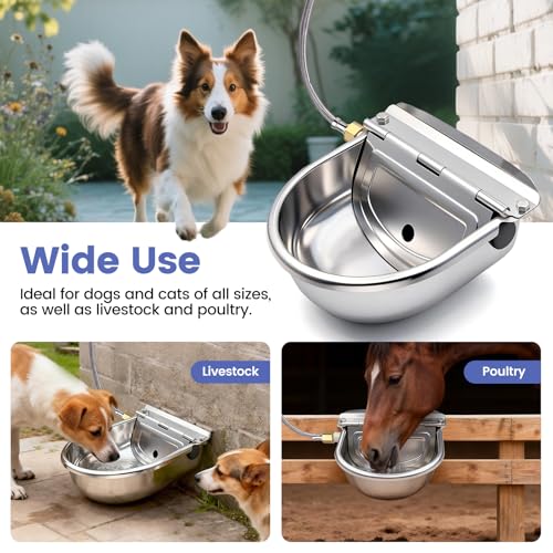 Automatic Dog Water Bowl Dispenser Outdoor, Wall Mountable