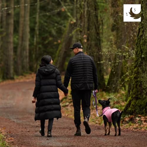 RC Pets Baseline Fleece | Lightweight 4-Way Stretch Dog Sweater | Everyday Warmth & Comfort | Size 18 Red/Grey