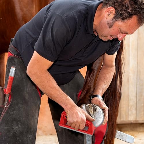 Harhana Goat Hoof Rasp File, Farrier Rasp for Small Hooves, Goat and Small Animals - color: Red