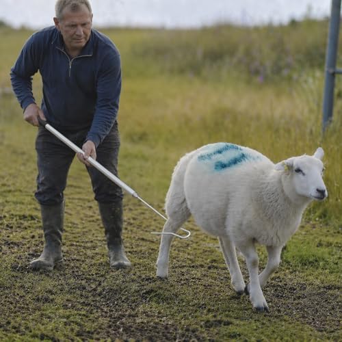 Sheep Catcher Leg Hook, Stainless Steel Goat Grabber Crook, 4-Section Detachable 28" to 59", One-Piece Smooth Tip Livestock Catching Tool for Farm Shearing Milking by Pyswex