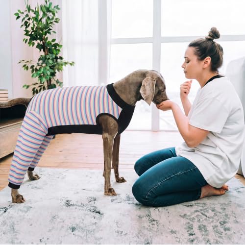 Kuoser Dog Recovery Suit with Anti Licking Rear Leg Sleeve, Purple M - color: Purple Stripes, size: Medium (Back Length: 34cm / 13.38")