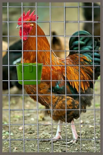 40 Pack Cage Cups Birds Feeders Seed Bowl Chicken Feeding Watering Dish Rabbit Water Food Hanging Wire Cages Box 8oz Coop Cups for Pet Parrot Parakeet Gamefowl Poultry Pigeon (Green) - size: 40PCS Green