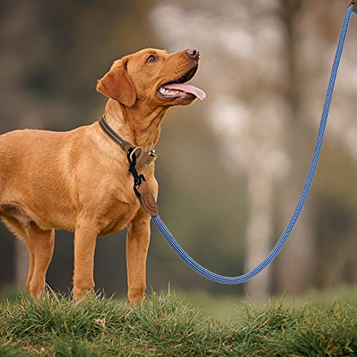 Mile High Life Dog Leash with Genuine Leather-Wrapped Ends, 4/5/6FT - color: Blue White, size: 48 Inch-1/2"