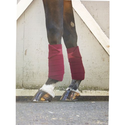 Toklat Polo Wraps - Pony