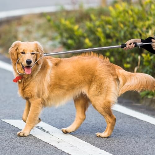 Dog Catcher Pole, Portable Animal Control Pole Tool | 30'' Hog Pig Catcher,Stainless Steel,Anti-Slip,For Pig Dog Goat Animals Swine,Livestock Farm Equipment