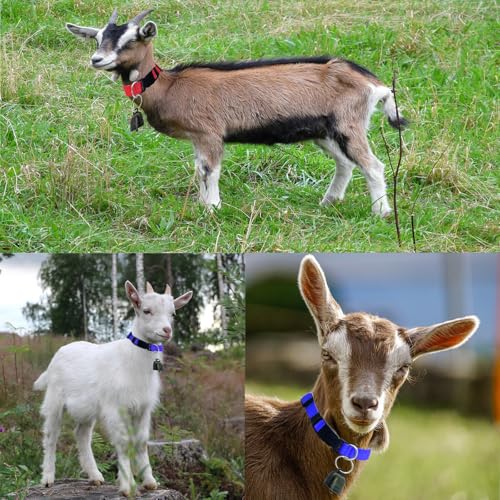 3 Pack Cow Horse Sheep Anti-Lost Bronze Bell, Adjustable Nylon Goat Collar with Bells Set for Cow Goat and Small Farm Animal Pet