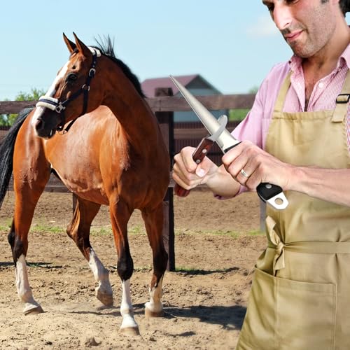 Hoof Knife Sharpener, 10 Inch Farrier Tool Honing Rod for Hoof Knives | Solid Wood Handle, For Hoof Knives, Farrier Supplies, Curved Blade Sharpening, Farm Knife Maintenance