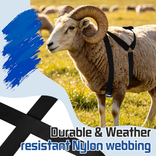 Ram Breeding Marking Harness for Sheep & Goat, 3 Pack Mating Crayon Block - color: Blue