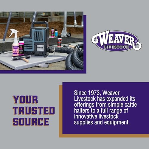 Weaver Livestock Poly Rope Sheep Halter, Modern Style Braid Sheep and Goat Rope Halter - color: Black