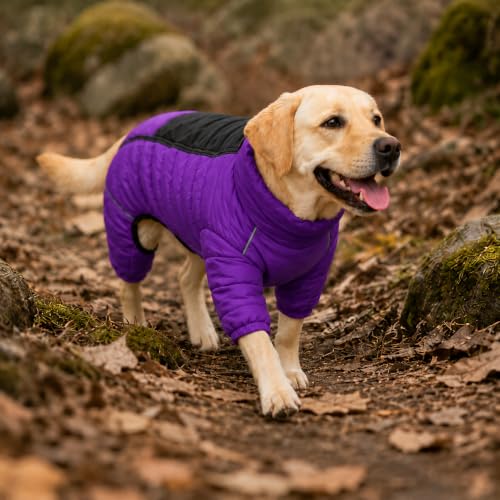 Purple Dog Jacket, Windproof & Waterproof, Reflective, Adjustable, Zippered, Snow Jacket for Small to Large Dogs - color: Purple, size: M (11.5inch Back)