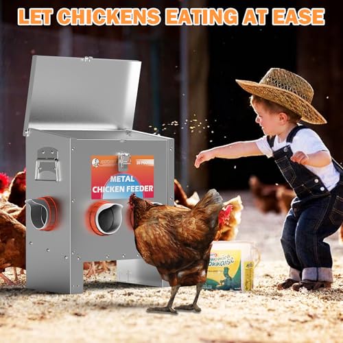 HAYOHRT Automatic Chicken Feeder No Waste 25 Pounds 4 Ports Metal Poultry Feeder with Latch & Handle for Chickens Bantams Pheasants Poultry Coop Weatherproof - size: 4 Ports - 25 lBS